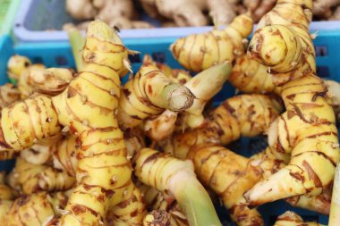Belgili tanımlık çarşı içinde yemek pişirmek için taze havlıcan
