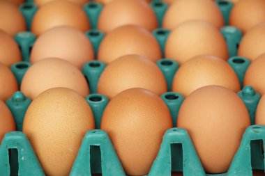 Sokak gıda panelinde yumurta