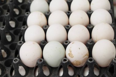 Sokak gıda panelinde yumurta