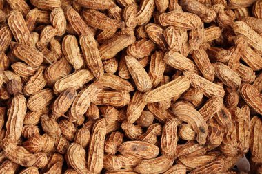 Haşlanmış fıstık sokak gıda lezzetli olduğunu