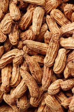 Haşlanmış fıstık sokak gıda lezzetli olduğunu