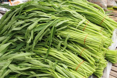 Yeşil sabah markette yemek pişirmek için zafer