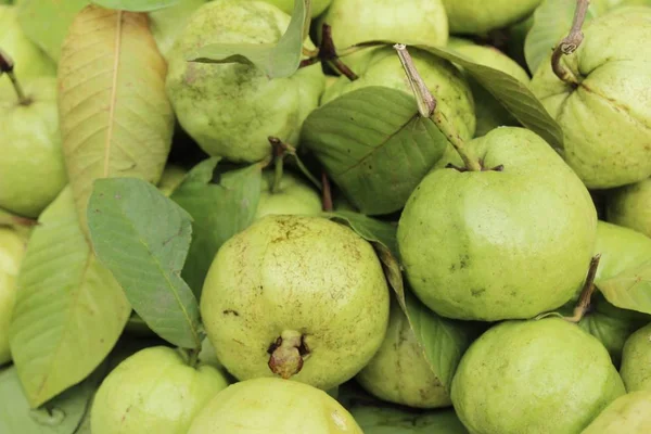 Guava meyve sokak gıda lezzetlidir