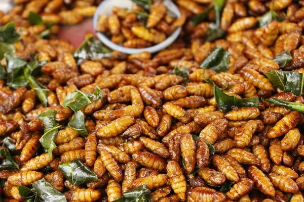 Fried silk worms delicious in street food — Stock Photo, Image