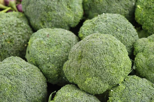 Broccoli grøntsager til madlavning på markedet - Stock-foto