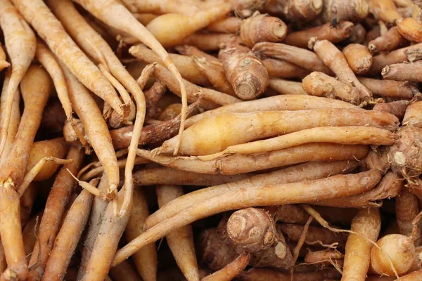 Ingwerwurzel zum Kochen in der Marke — Stockfoto