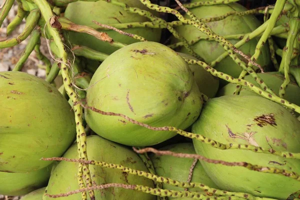 Kokosnoot vrucht is heerlijk op straat eten — Stockfoto