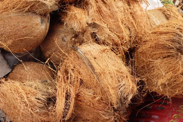 Coconut ovoce je vynikající na rychlé občerstvení — Stock fotografie