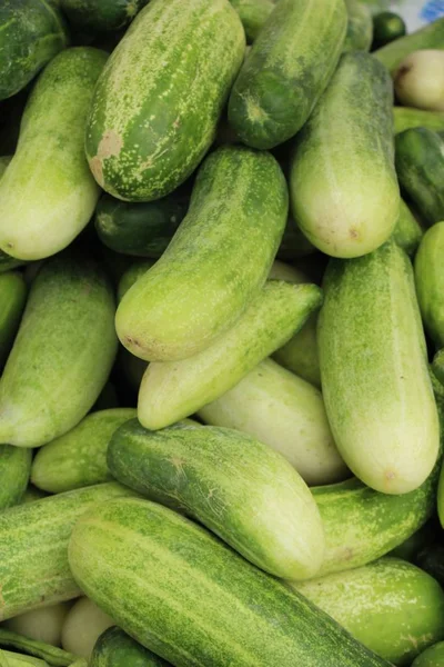 Fresh cucumbers for cooking in the market — Stock Photo, Image