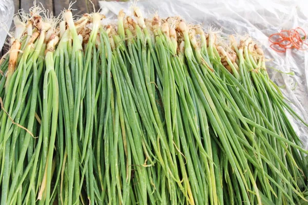 Cebolla fresca de primavera para cocinar en el mercado — Foto de Stock