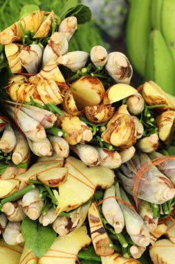 Sebze için baharatlı çorba sokak gıda ayarla