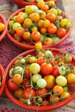 Sokak gıda yemek için taze domates