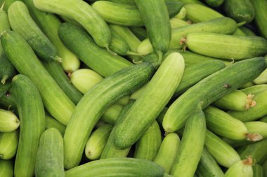 Belgili tanımlık çarşı içinde yemek pişirmek için taze salatalık