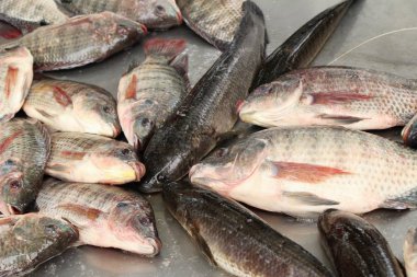 Taze balık sokak gıda yemek pişirmek için