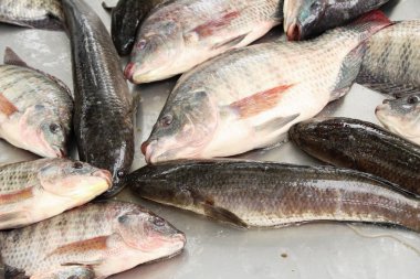 Taze balık sokak gıda yemek pişirmek için