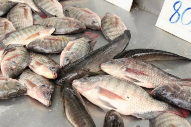 Taze balık sokak gıda yemek pişirmek için