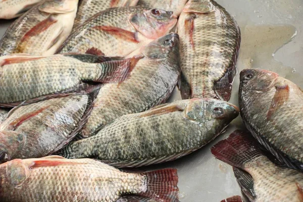 Verse vis voor het koken op straat eten — Stockfoto