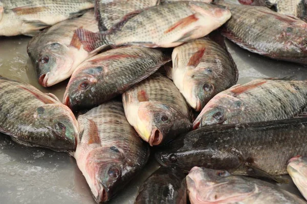 Verse vis voor het koken op straat eten — Stockfoto