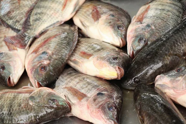 Pescado fresco para cocinar en la calle —  Fotos de Stock