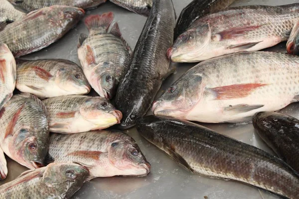 屋台で調理するための新鮮な魚 — ストック写真