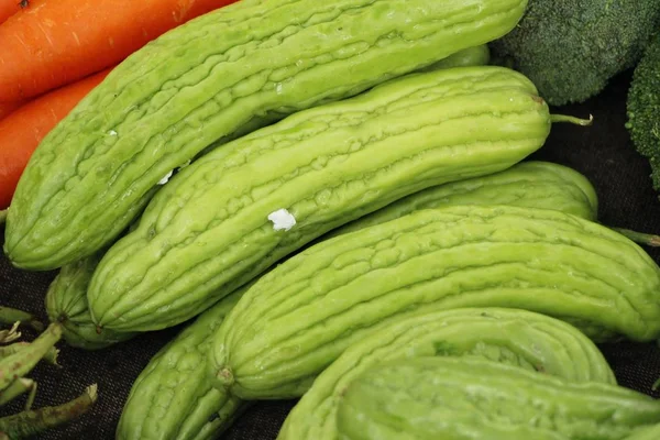 Calabaza de melón amargo para cocinar en el mercado — Foto de Stock