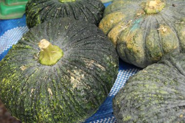 Belgili tanımlık çarşı içinde yemek pişirmek için taze kabak