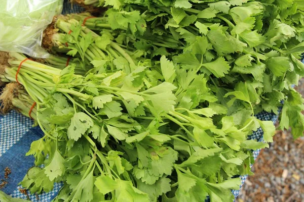 Legumes de aipo para cozinhar no mercado — Fotografia de Stock