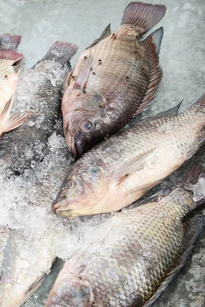 Färsk fisk för matlagning på gata mat — Stockfoto