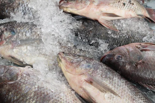 Peixe fresco para cozinhar em comida de rua — Fotografia de Stock