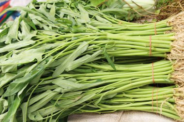 Yeşil sabah markette yemek pişirmek için zafer