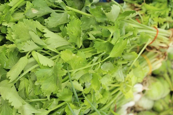 Legumes de aipo para cozinhar no mercado — Fotografia de Stock