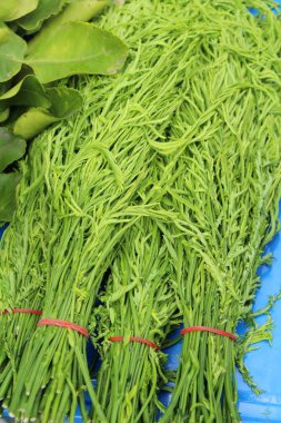 Akasya pennata sokak gıda yemek pişirmek için