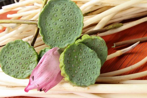 lotus seed and lotus stems with nature