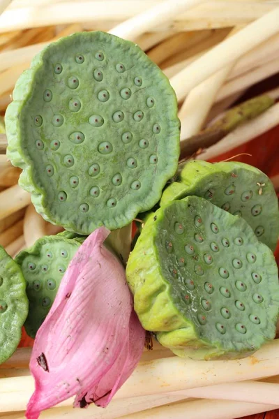 lotus seed and lotus stems with nature