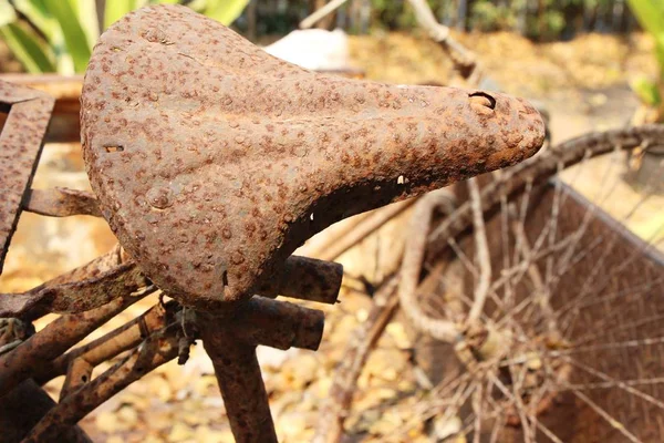 Antiguo estilo vintage de bicicleta con la naturaleza —  Fotos de Stock