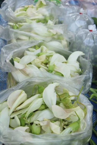 Agasta flor para a saúde na comida de rua — Fotografia de Stock