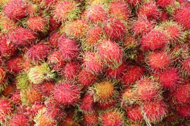 Tatlı meyve lezzetli rambutan içinde belgili tanımlık çarşı