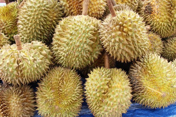 Дурианские фрукты вкусны в уличной еде
