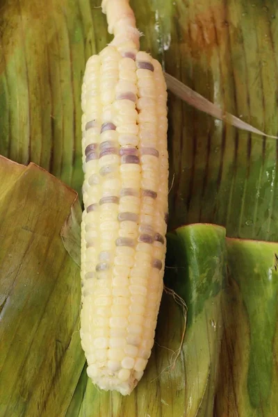 Wrzenia kukurydza jest pyszne w ulicy żywności — Zdjęcie stockowe