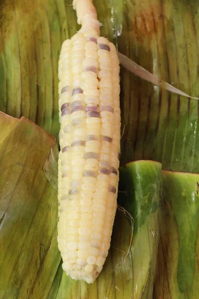 Mais kocht köstlich beim Streetfood — Stockfoto