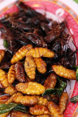 Fried ipek solucanlar sokak gıda lezzetli