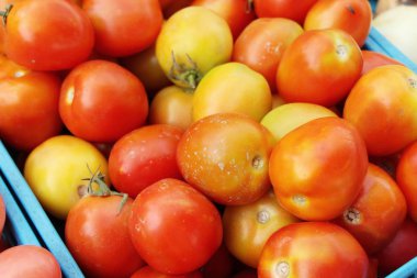 Sokak gıda yemek için taze domates