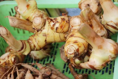 Belgili tanımlık çarşı içinde yemek pişirmek için taze havlıcan