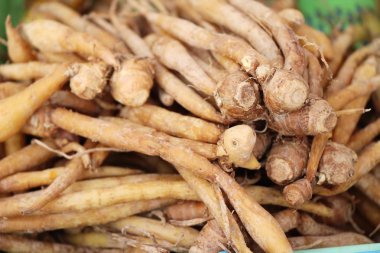 Belgili tanımlık çarşı içinde yemek pişirmek için zencefil kökü