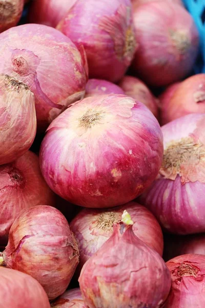 Échalote - asie oignon rouge à la nourriture de rue — Photo