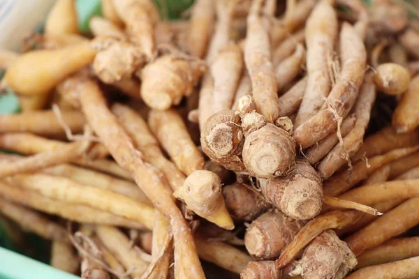 Ginger root for cooking in the market — Stock Photo, Image