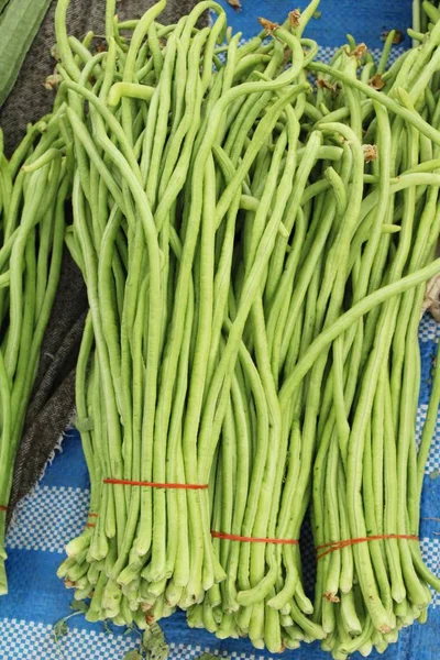 Long bean for cooking at street food — Stock Photo, Image