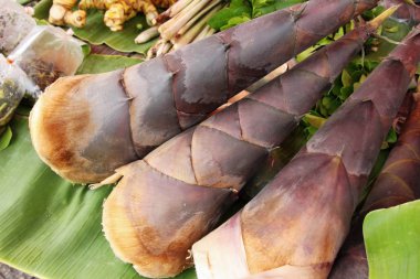 Tatlı bambu markette yemek pişirmek için ateş