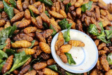 Fried ipek solucanlar sokak gıda lezzetli