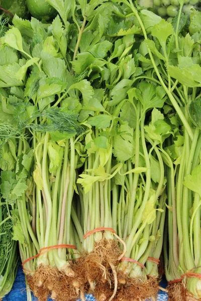 Apio vegetal para cocinar en el mercado — Foto de Stock